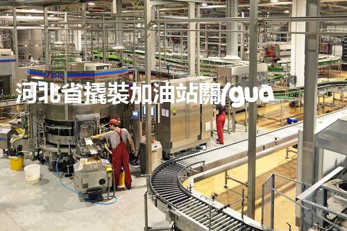 河北省撬裝加油站關(guān)鍵技術(shù)突破！化工廠拆除工程的新方法探索？